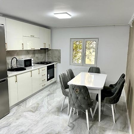 Elite Apartment Buzău Exteriér fotografie